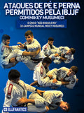 Ataques De Pé e Perna Permitidos Pela IBJJF Com Mikey Musumeci